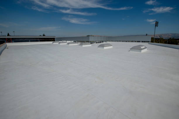 Best Metal Roofing Installation  in Shinnston, WV