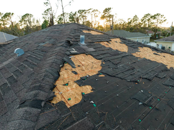 Best 4 Ply Roofing  in Shinnston, WV